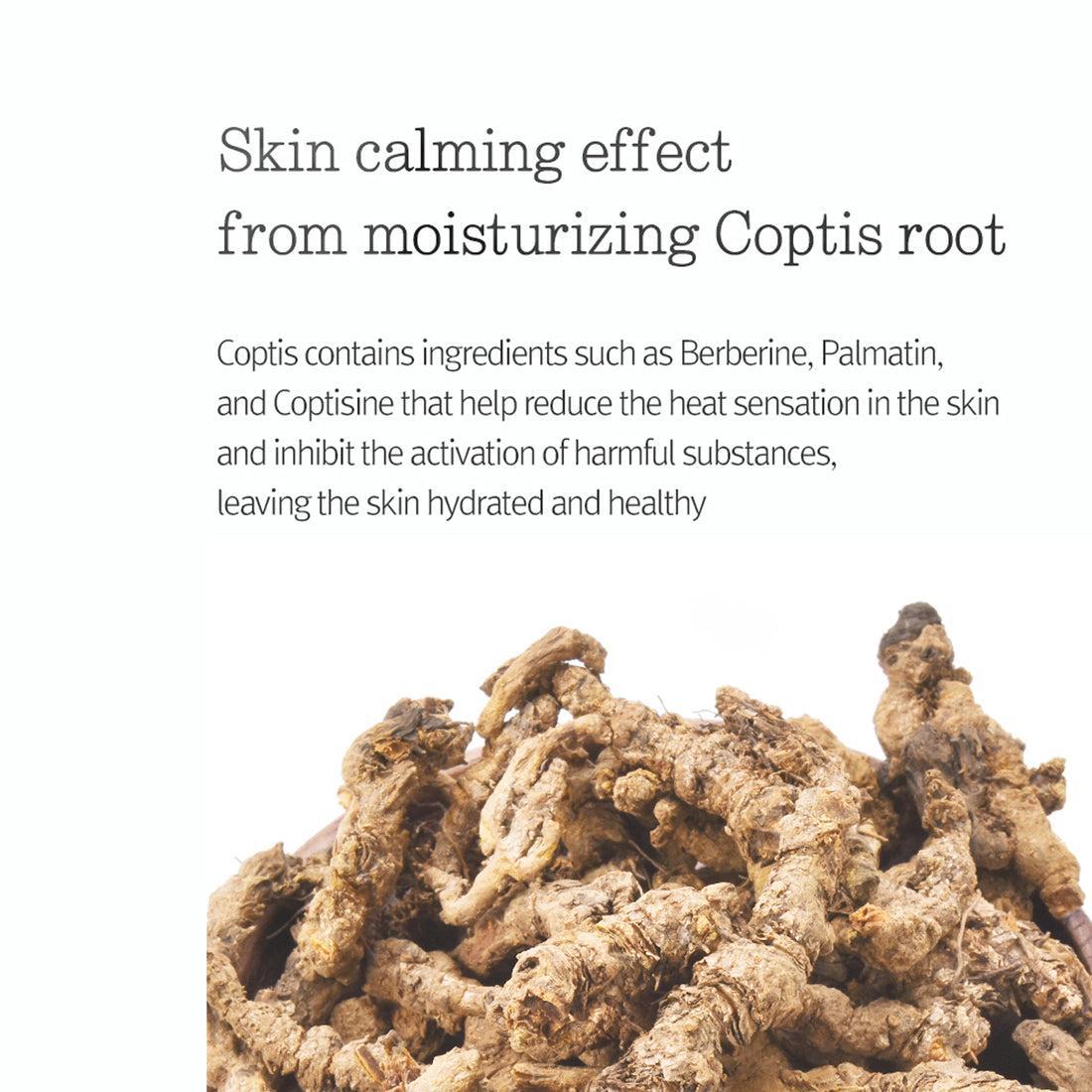 Moisture Cream 100ml - 8