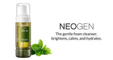 [NeoGen] DERMALOGY REAL FRESH FOAM CLEANSER GREEN TEA 160G