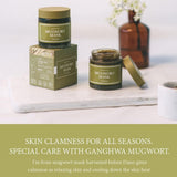 [ImFrom] Mugwort Mask 110g