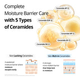 [VT Cosmetics] Rice Ceramide Capsule Cream 50ml